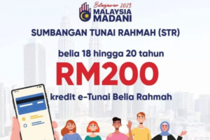 Ewallet Bantuan Untuk Orang Bujang 2024