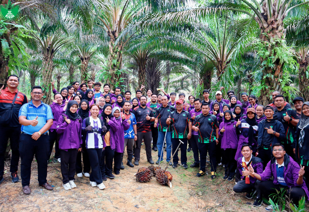 Kebun Risda Bantuan Tanaman Kelapa Sawit RISDA