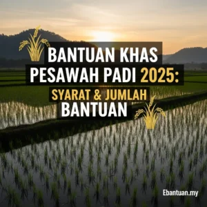 Bantuan Khas Pesawah Padi 2025 Syarat & Jumlah Bantuan