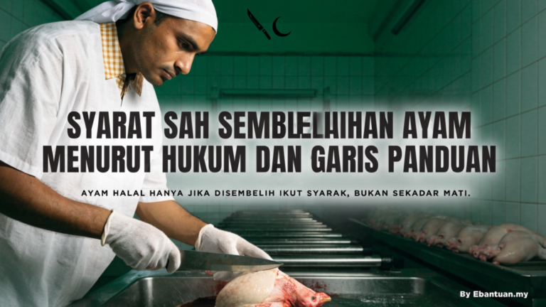 Syarat Sah Sembelihan Ayam Menurut Hukum dan Garis Panduan